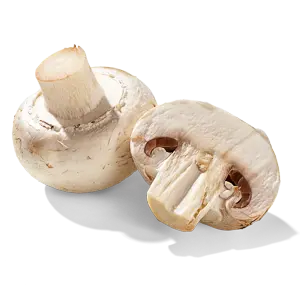 Fresh champignon mushrooms